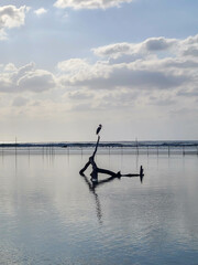 Mahaual and the Mayan Coast