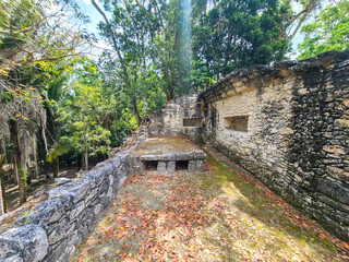 Maya Ruins in the Jungle