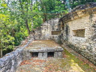 Maya Ruins in the Jungle