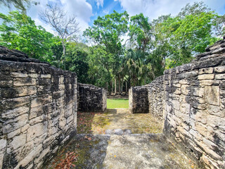Maya Ruins in the Jungle