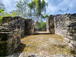 Maya Ruins in the Jungle