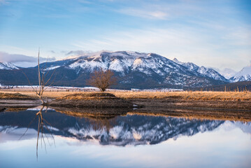 Winter's Calm Reflections