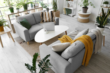 Interior of living room with grey sofas, laptop on coffee table and houseplants