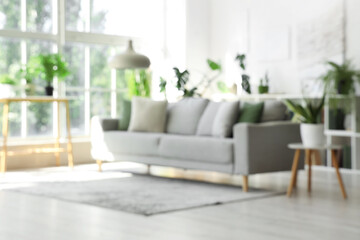 Blurred view of modern living room with grey sofa and houseplants