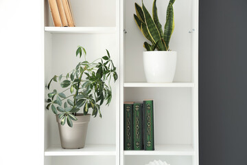Shelving unit with books and houseplants in living room, closeup