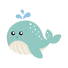 Rollo Wal Whale underwater illustration animal vector clipart