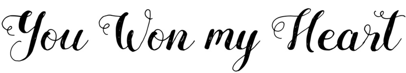 Digital png illustration of you won my heart text on transparent background