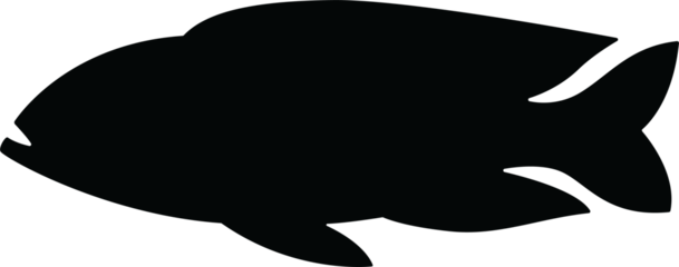 silhouette fish