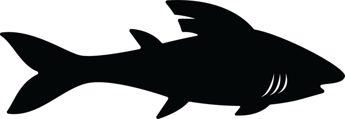 silhouette shark