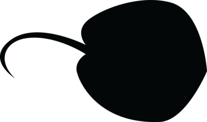 silhouette Stingray