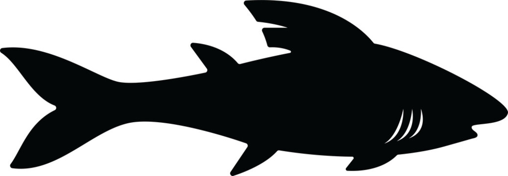 recommend clip art: silhouette shark