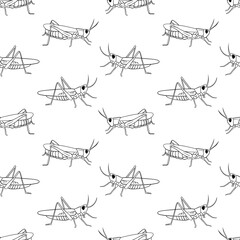Vector Seamless pattern with grasshopper outline illustration. Line insect isolated on white background. - obrazy, fototapety, plakaty