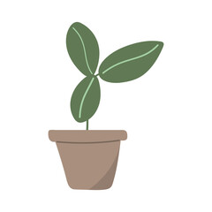 Vector pots with simple plants with green leaves in grey pots