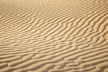 Sand dunes