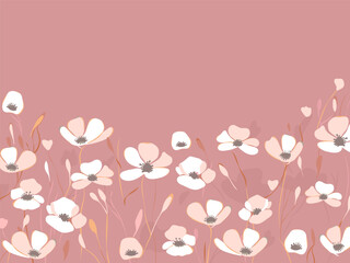 Delicate white poppy flowers on pastel pink, backdrop for your text, card template, vector - 680816883