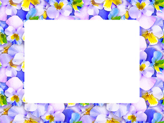 パンジーのフレーム