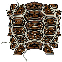 background with tattoo, Real Pond Turtle Shell 