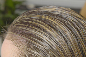A woman's wet hair is combed and styled for dyeing. close-up