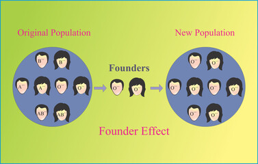 Founder Effect