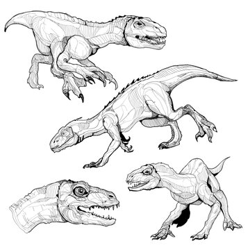 Dinosaur vector drawing set. 