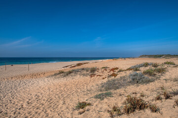 Fototapeta na wymiar View of Melides beach, Alentejo, Portugal