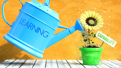 Learning grows capability. A metaphor in which learning is the power that makes capability to grow. Same as water is important for flowers to blossom.,3d illustration - obrazy, fototapety, plakaty