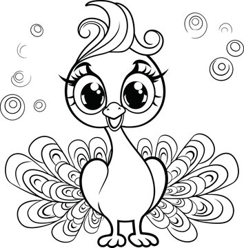 Peacock bird animal vector and coloring page image