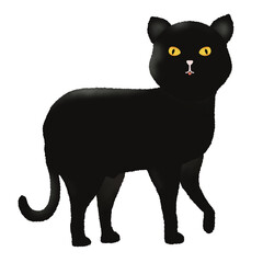 black cat drawing, black cat illustration png, cute black cat 