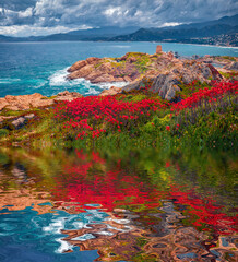 Red flowers and Genoise de la Pietra a L'ile-Rousse tower reflected in the calm waters of small...