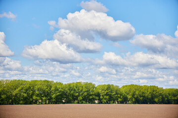 Landscape with a clear field without planting. Blue sky and clouds. Daytime. The nature of the central part of Eurasia.