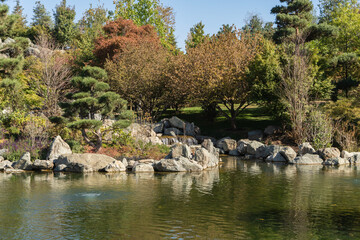 Japanese garden in Krasnodar Galitsky Park. Topiary art. Shapely trimmed trees and shrubs grow on...