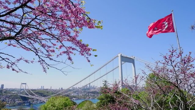  The Turkish flag is waving in the wind in a park overlooking the bridge over the Bosphorus and beautifully blooming sakura. Travel Istanbul background photo