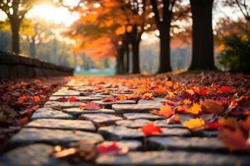 Fotobehang Colourful autumn leaves on brick pavement floor at fall. Dry yellow leaves blur Maple leaf on wet road, urban city street. October september or november weather Selective focus on asphalt Blurry bokeh © Kowit