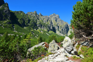 Mala Studena Dolina in Vysoke Tatry (Tatra Mountains), Slovakia. - 680848284