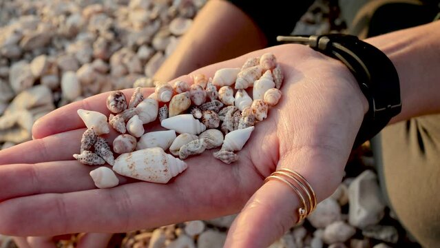 rest and meditation. a girl sits on the beach and collects various shells in her hand. girl's hands with shells close-up.