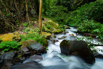 Obraz premium a river in a village that is flowing with very calm water 