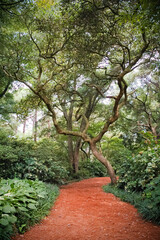 Fototapeta premium Elizabethan Gardens, Botanical garden in North Carolina