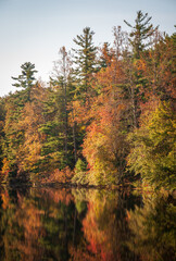 Carl Sandburg Home National Historic Site