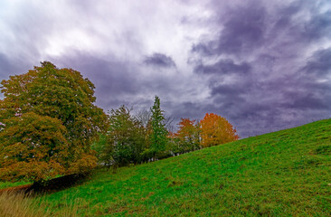 A wonderful rainy autumn day in Bavaria