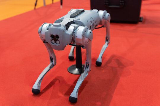 Four legs robot at the expo