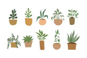 Organic flat houseplant vector collection