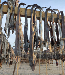 The sea fish is being dried in the sun by hanging it on the loft