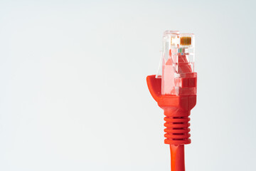 Network cable isolated on white background studio shot