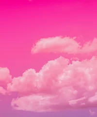 Foto op Plexiglas pink sky and clouds background © squallice