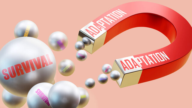 Adaptation which brings Survival. A magnet metaphor in which adaptation attracts multiple parts of survival. Cause and effect relation between adaptation and survival.,3d illustration
