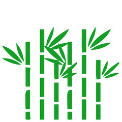 Fototapeta na wymiar bamboo and leaves, bamboo illustration