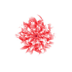 Pink Flower Vector Design, Illustration