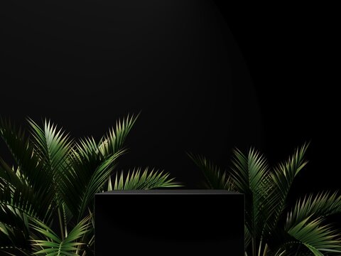 3D render podium, showcase on dark background with palm tropical leaves of plants. Abstract natural, eco organic background for advertising products, spa body care, relaxation, health.