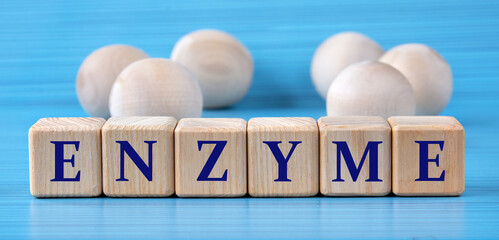 ENZYME - word on wooden cubes on a blue background with wooden round balls