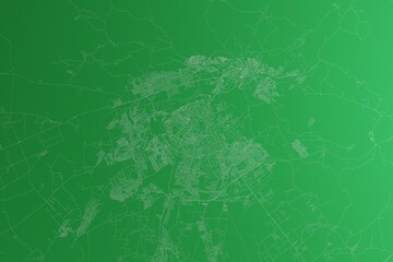 Map of the streets of Fez (Morocco) made with white lines on green paper. Rough background. 3d render, illustration